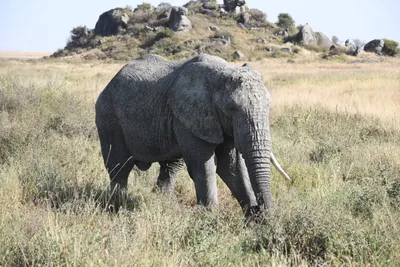 DSC_3849 (Large).JPG